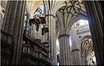 Salamanca's Cathedral